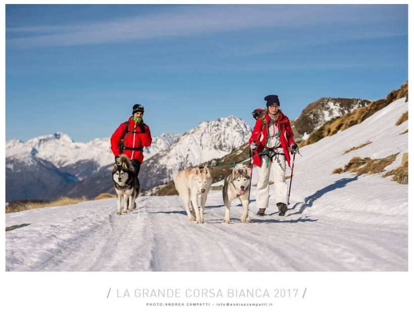 16864872_787662508067080_8753199018278415617_n