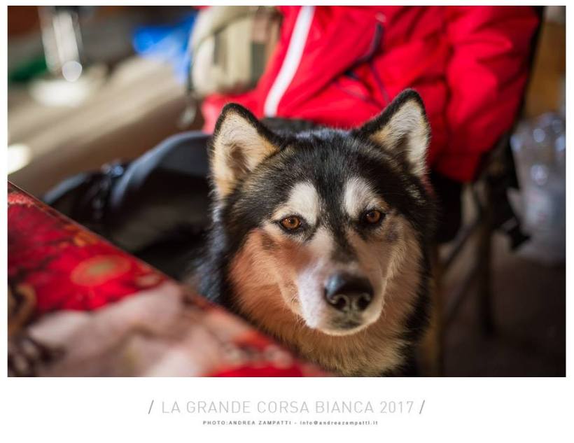 16939290_787662644733733_7623353855365583372_n