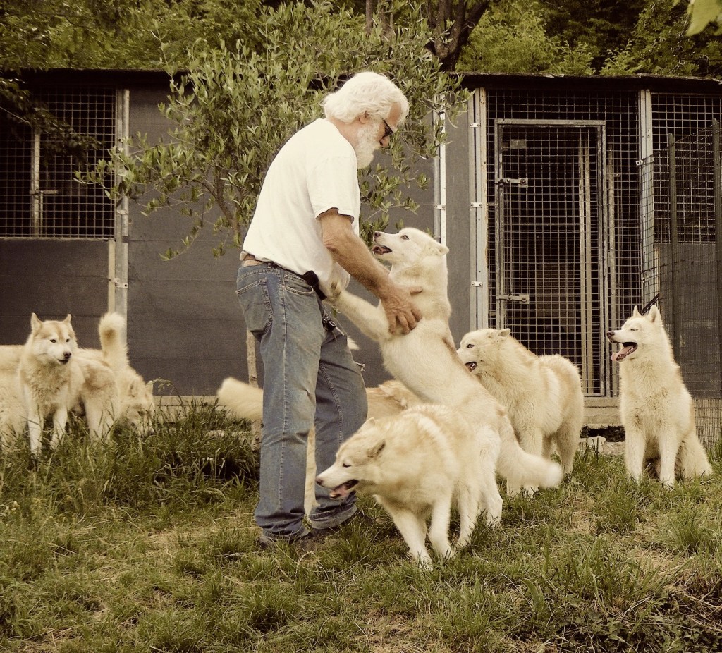 Il SIberian Husky: intervista a Filippo&nbsp;Cattaneo