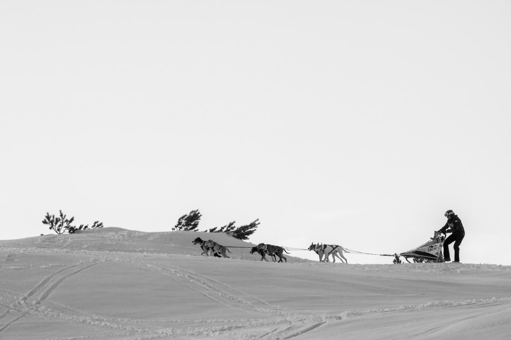 Piccola riflessione sul mondo del&nbsp;musher