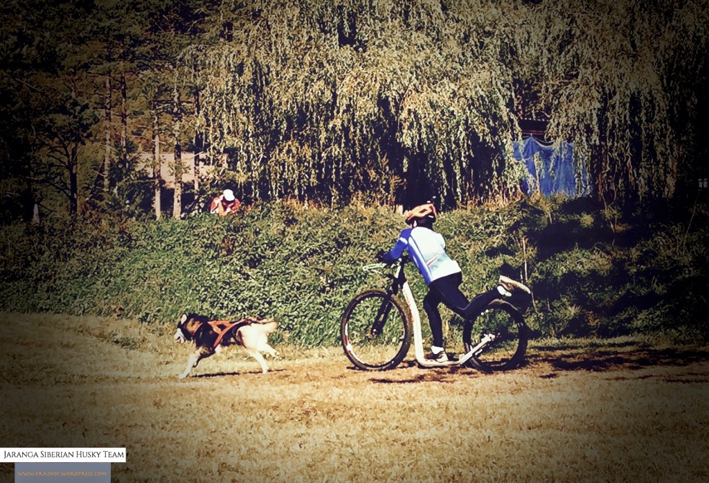 Il nostro Europeo ECF 2017: un breve&nbsp;riassunto