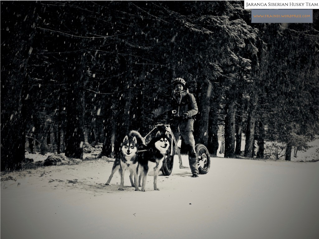 Perchè rifare la Grande Corsa Bianca con Indi e&nbsp;Ciuk?