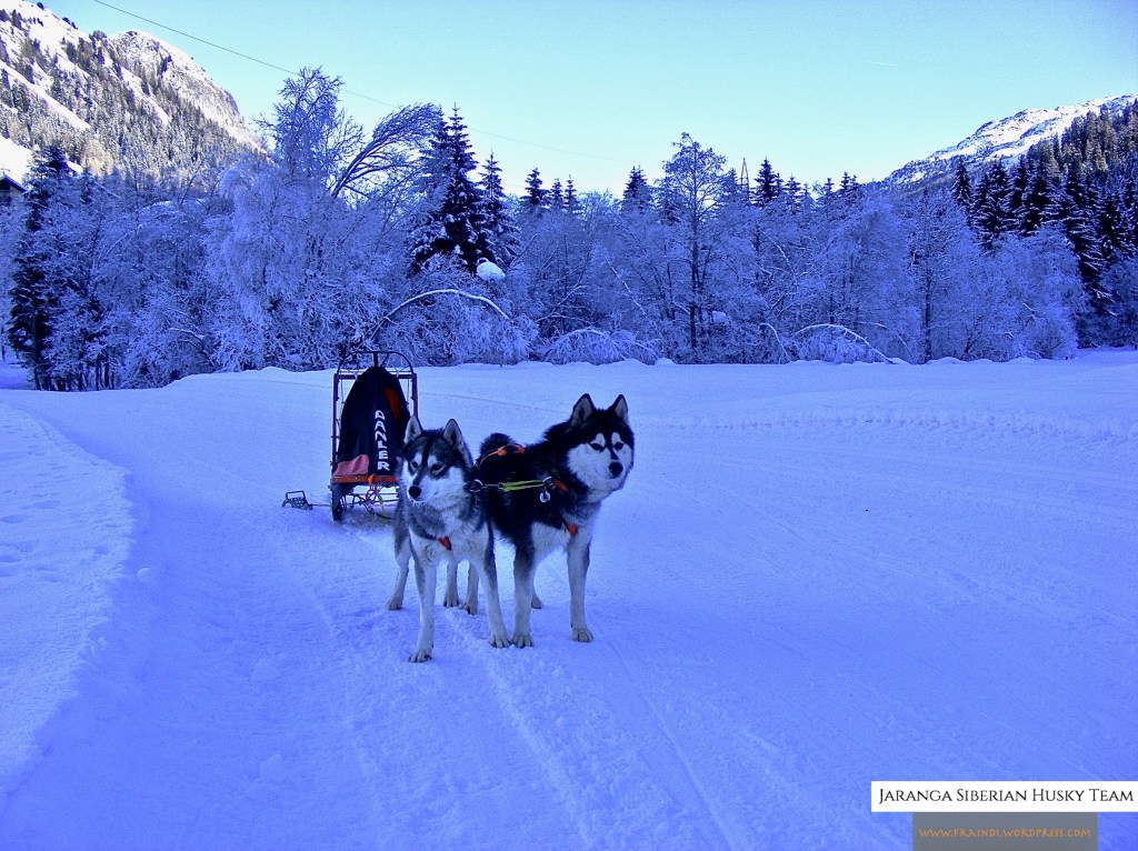 La “Bianca Corsa” di Indi e Ciuk: un’avventura di cui fare&nbsp;tesoro