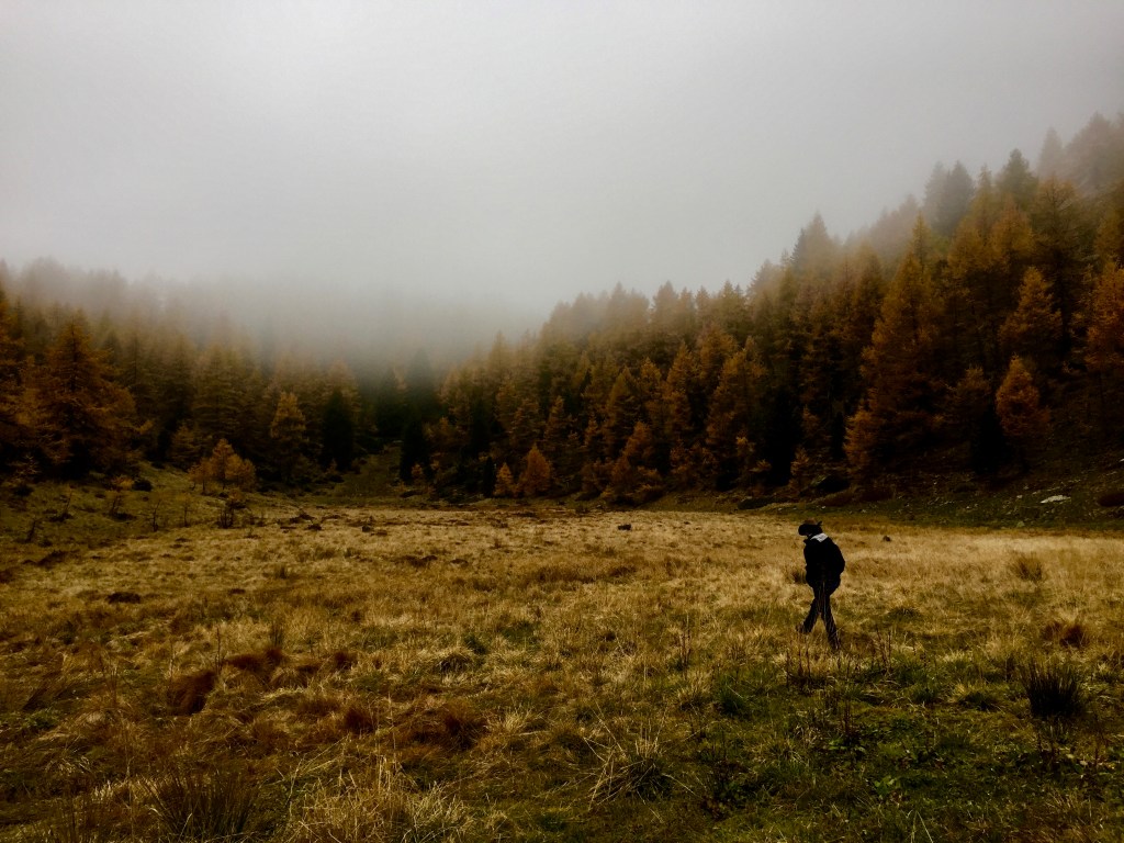 Lettera aperta all’umanità della&nbsp;civiltà