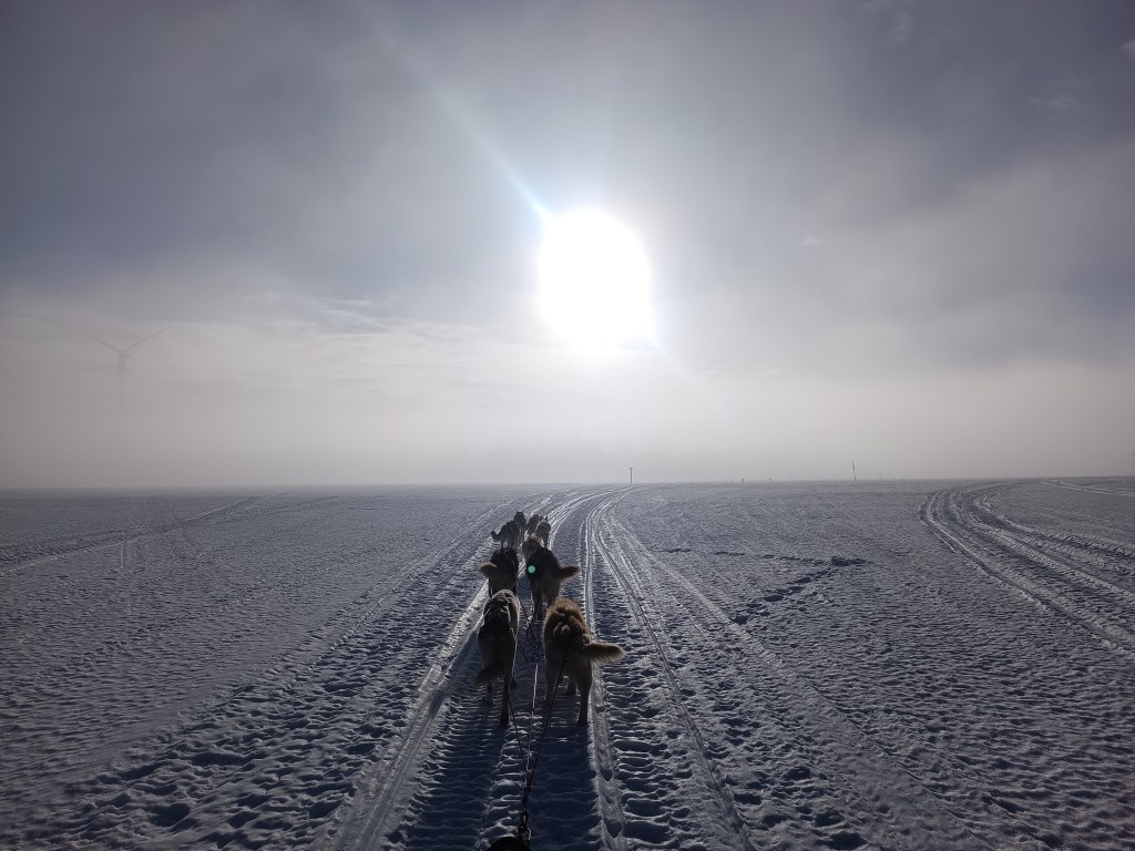 Questa immagine ha l'attributo alt vuoto; il nome del file è inspire-foto-4.jpg